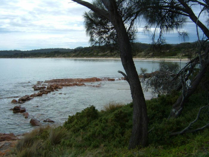 33 Tasmania.jpg